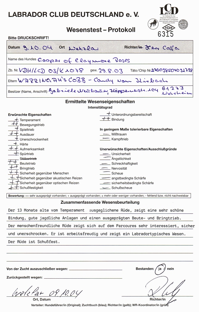 Wesenstest - Protokol